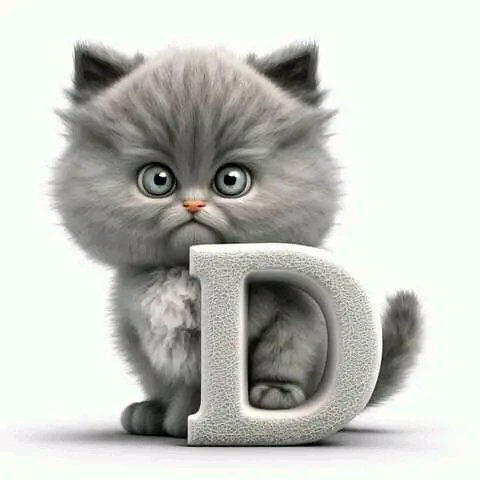 Tiofelino's tweet photo. Hilo del abecedario felino. Intenta formar tu nombre con estas letras 🐱 https://t.co/4caR5TU372
