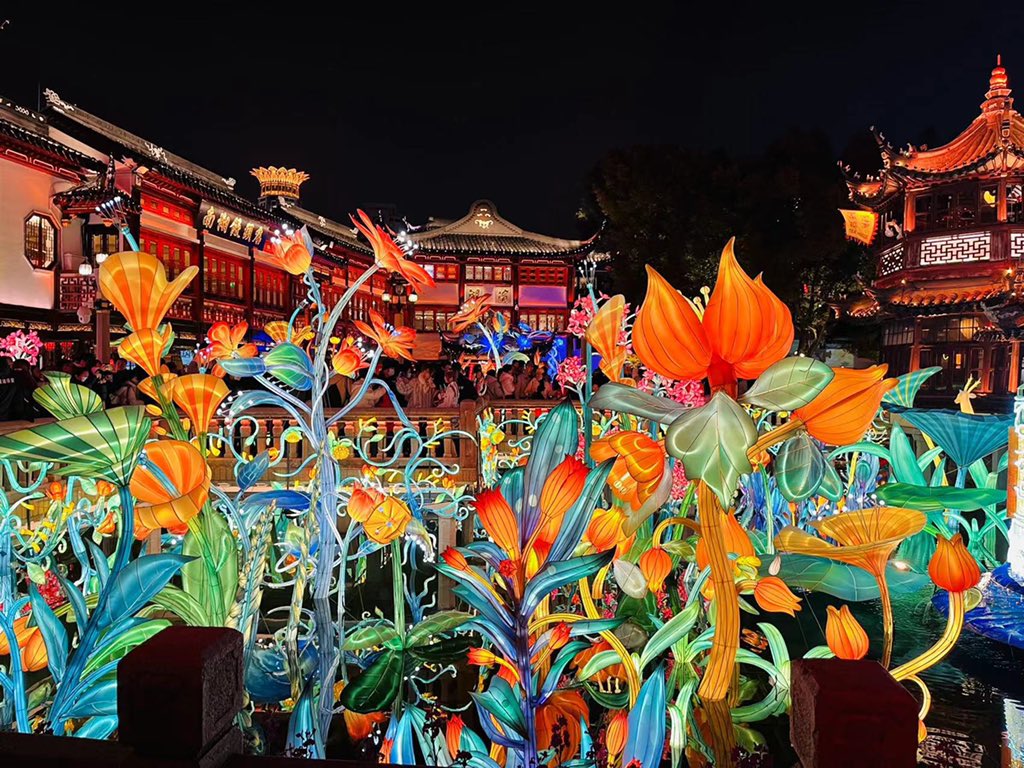 Light up in spring #Flowers #ValentinesDay