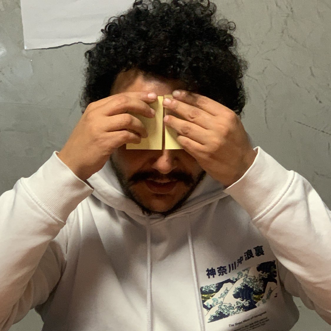 The art                                      The artist