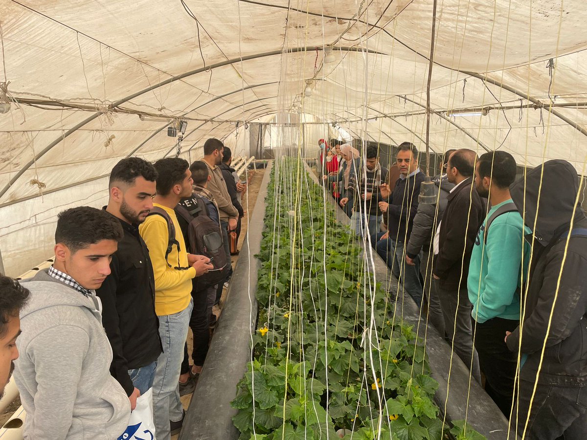 HortimedPRIMA's tweet photo. Teaching future users of @HortimedPRIMA technologies 

On February 1, 28 undergraduate students from the Faculty of Agriculture of @BenhaUniveristy received practical training in IMTA technologies at #NIOF's demo site in #Egypt https://t.co/1AHoPtBUOM