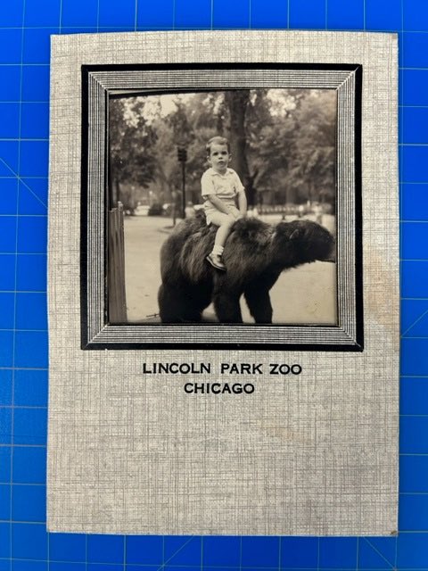 My relationship with the Chicago bears goes back more than 60 years…