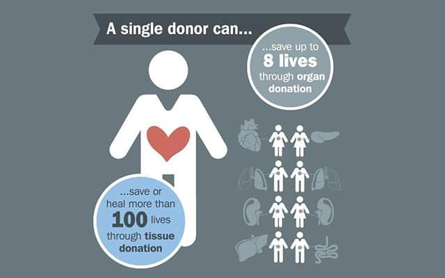 National Organ Donor Day. 
Observed each year on Feb. 14 is a day to increase awareness about organ donation and the lives that can be saved. In the United States,  100,000+ people are waiting for a life-saving organ donation 
Donatelife.net 
#DonorDay