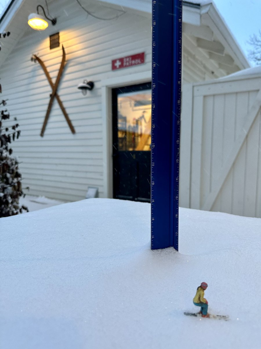 6” of pow here in central Boulder. #cowx