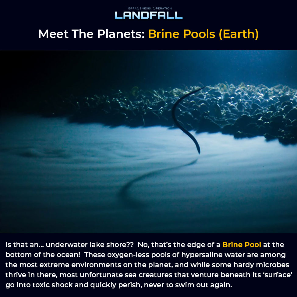 Brine pools are stunning but deadly. ☠️

#landfall #spacegames #indiegames #mobilegames #planetaryscience #marinescience #brinepool #sea #ocean #earth #planets #solarsystem #space