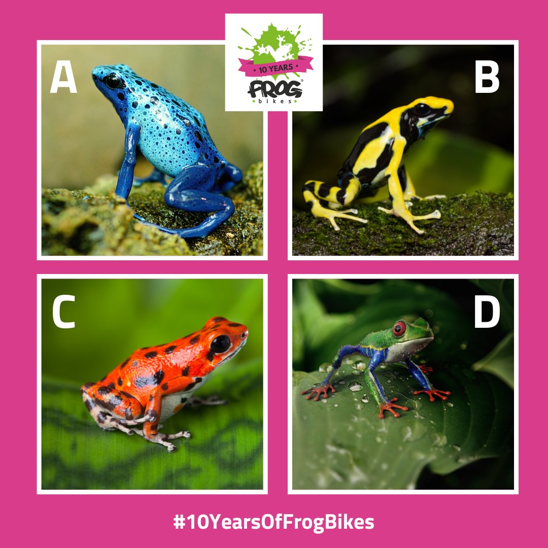 Frog Bikes tweet media