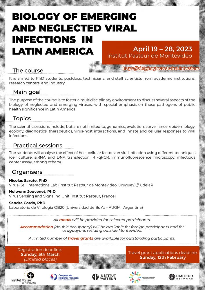 Asociación de Universidades Grupo Montevideo (@augmoficial) on Twitter photo #Oportunidad | ¡No se duerman! Todavía hay tiempo para postular al curso internacional "Biology of emerging and neglected viral infections in Latin America", que llevamos adelante junto a <a href="/IPMontevideo/">Institut Pasteur Montevideo</a>.
+info: bit.ly/3YlS2Tn
#CooperaciónInternacional #Biología #Oportunidad | ¡No se duerman! Todavía hay tiempo para postular al curso internacional "Biology of emerging and neglected viral infections in Latin America", que llevamos adelante junto a <a href="/IPMontevideo/">Institut Pasteur Montevideo</a>.
+info: bit.ly/3YlS2Tn
#CooperaciónInternacional #Biología