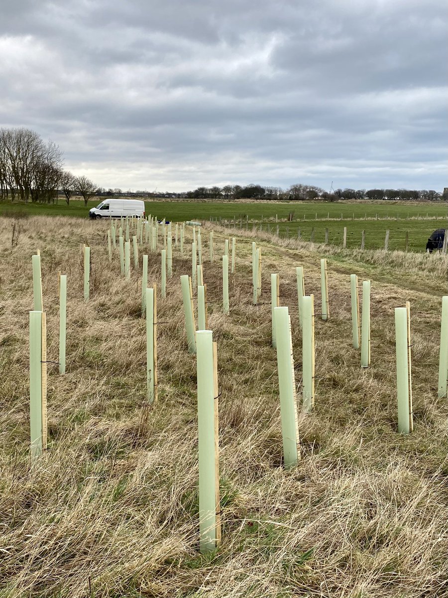 Planting a native-species shelter belt at Blyth. Great to have local Mayor and councillors helping out, as well as one of our corporate sponsors. 🌳🌳 #TreesForHealth #TreesForClimate