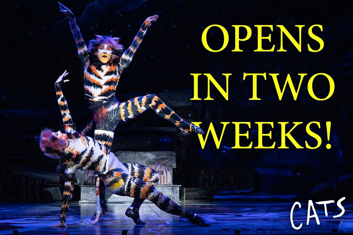 BroadwayInBing's tweet photo. The Jellicle Ball is coming to Binghamton and we're not kitten! See CATS March 1 &amp; 2 at the Forum Theatre, that's only 2 weeks away!! 😻

Purchase your tickets here https://t.co/lpqdRcOx3E or in person at the Arena Box Office!

Photo📸: Matthew Murphy, MurphyMade https://t.co/IiMetSpBfV