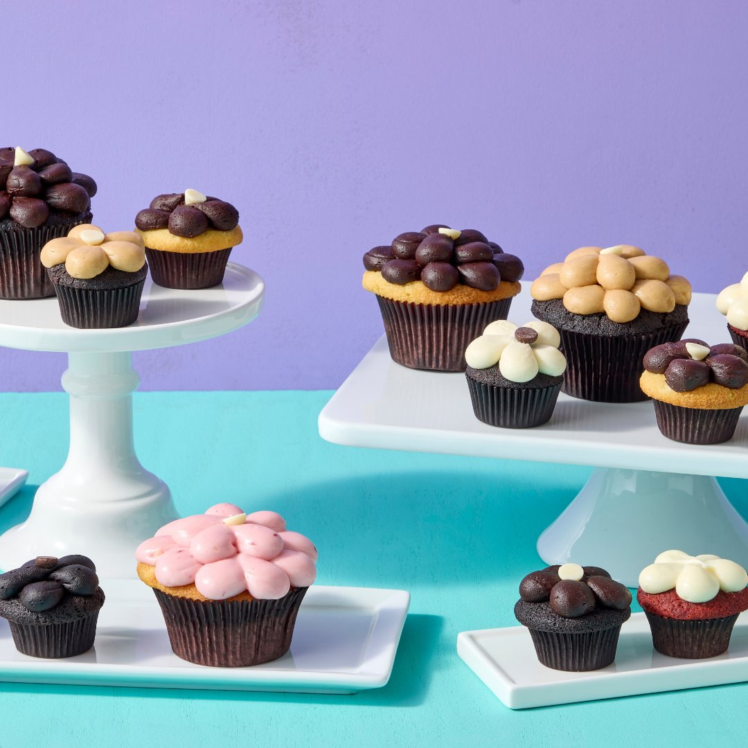 SugarBlissCakes's tweet photo. On Singles Awareness Day, you deserve a cupcake or 2!

#singlesawarenessday #chicagobakery #cupcakesofinstagram #cupcakestagram #cupcakelovers #feedfeed #instachicago #sugarblissfix #chicagoeats #chicago_eats #foodiegram #eaterchicago #chieats #blissfullysweet https://t.co/qr6OeyHBWh