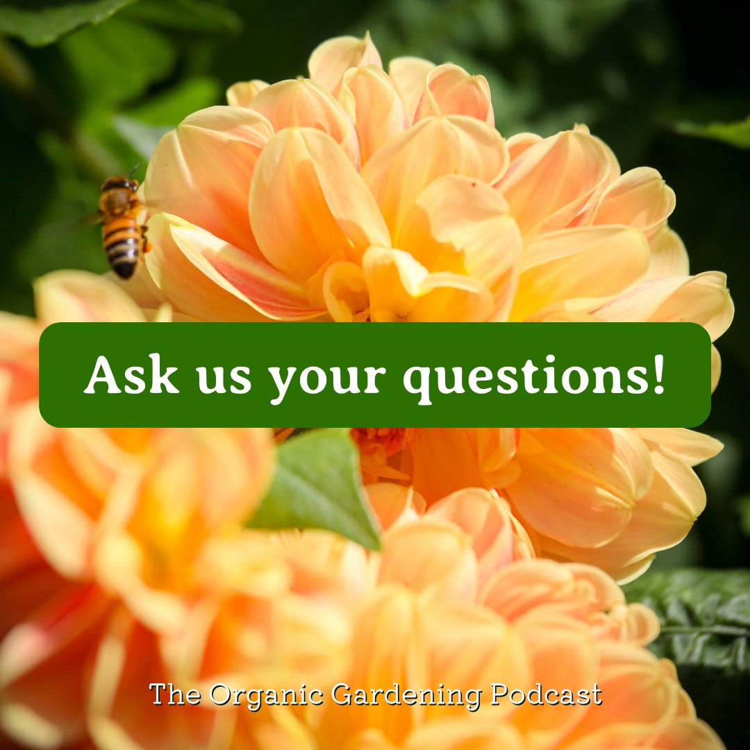 Garden Organic tweet media