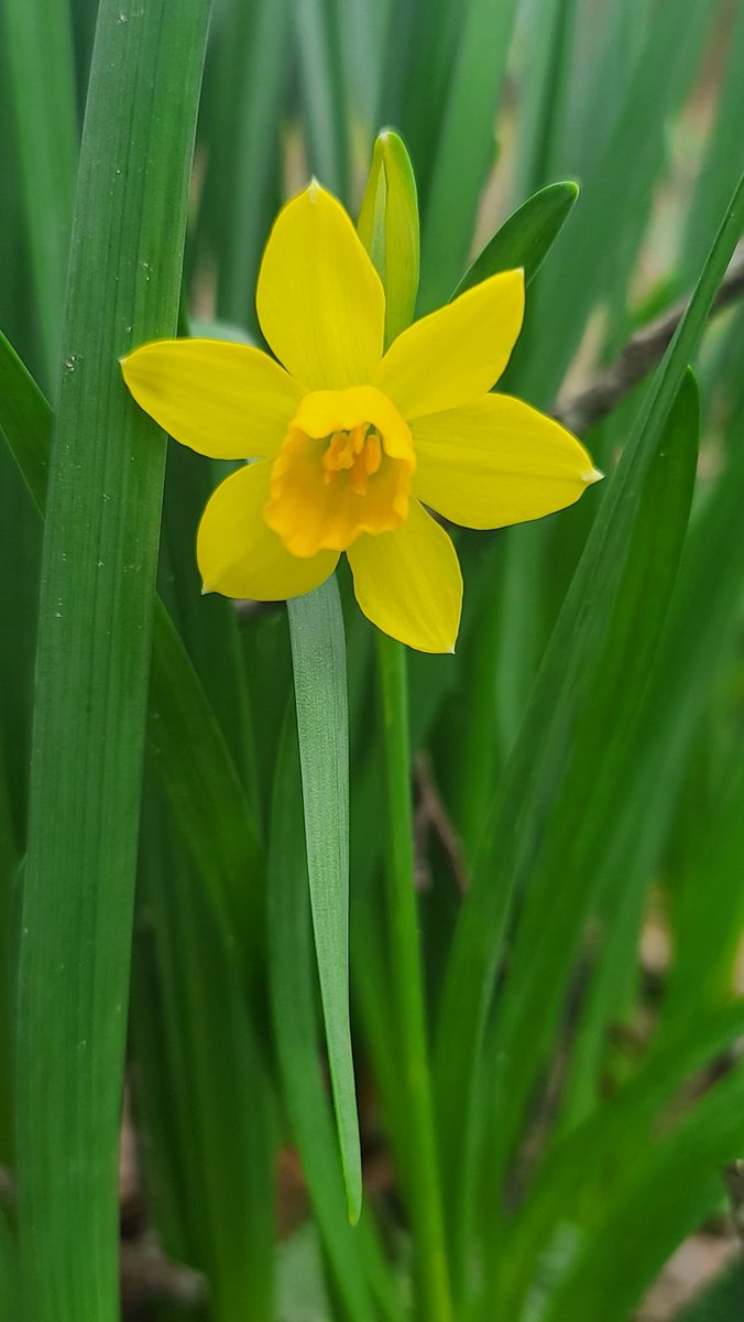 TCMiniFarm tweet media