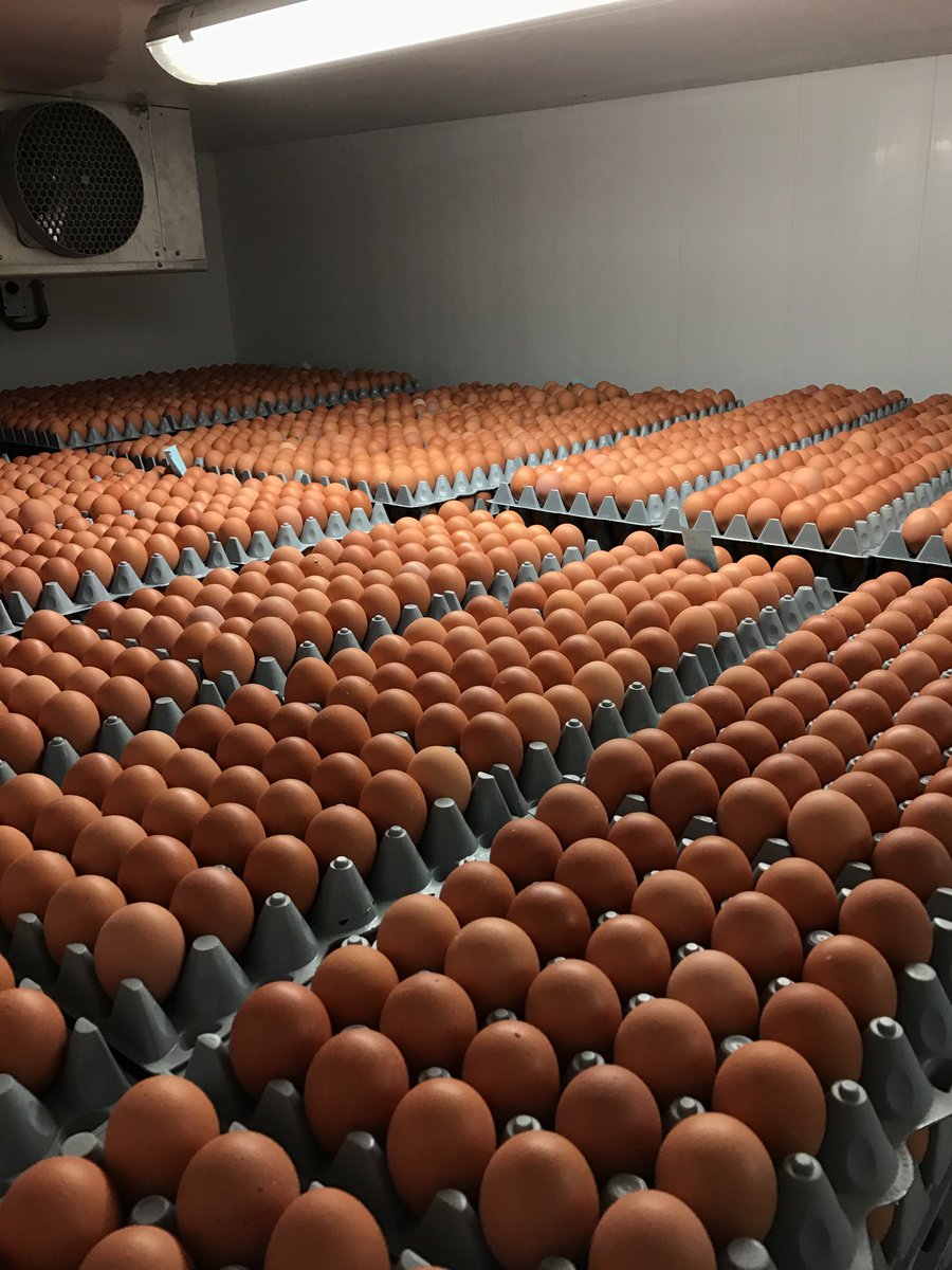 Roger Pelissero 🇨🇦 tweet media