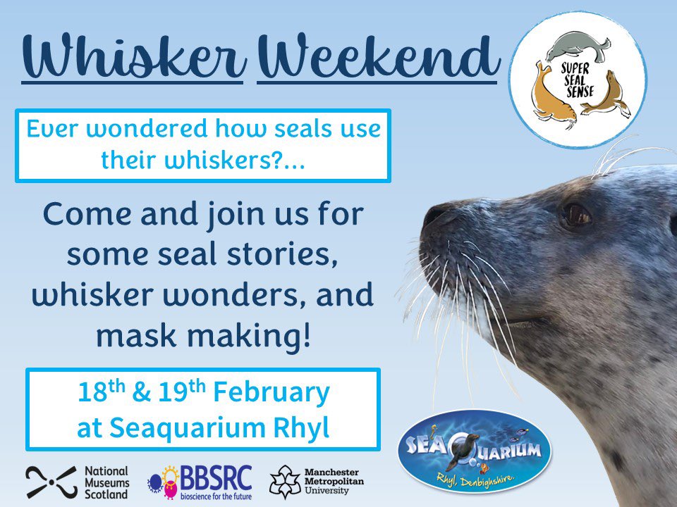 💙🦭WHISKER WEEKEND🦭💙 Ever wondered how a seal uses their whiskers?... 🤔 Learn how our seals are contributing to science through the use of their wonderful whiskers! 🦭 Come and join us for Seal stories, whisker wonders and mask making! 😁🥳 Open 10am 💙