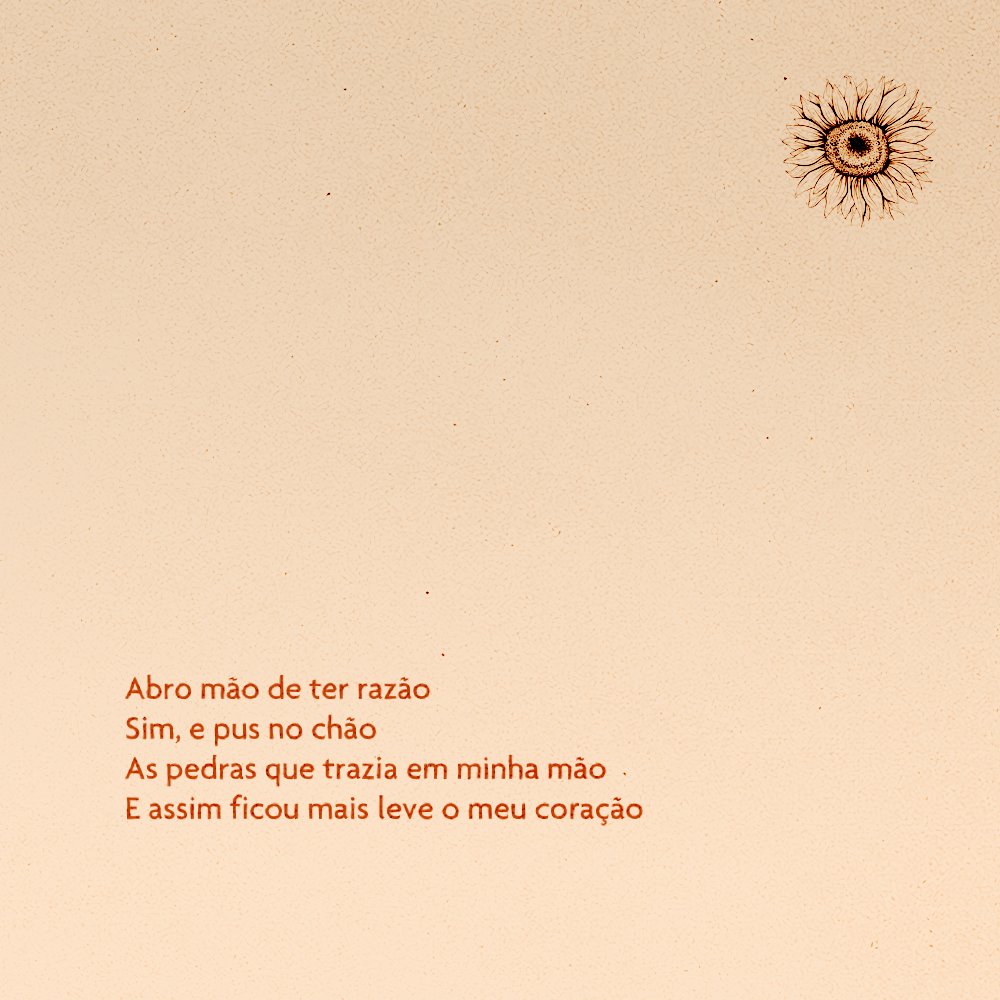 onbraza's tweet photo. 🌻
#BRAZA #Armandinho #Renasceu https://t.co/nNH4HDGT49