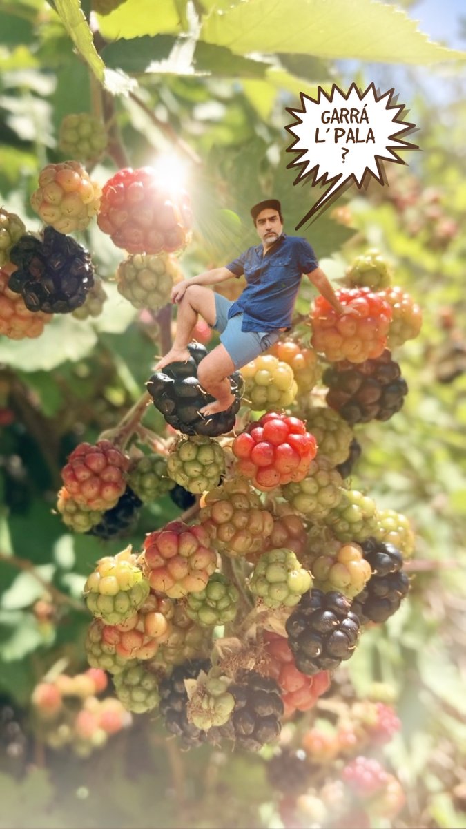 🐚💨🌈VAGACIONES is OVER 🥂🦆🧉
2023 yendo : Visión Infernal, VJsets Cosa Rica, la instalación, el libro?, más palomas?, las pelis, el teatrow, los NFTs? Todo de tó febrero en teeeleeefettt 💋🍎🪞🎤

instagram.com/p/CoqGypTPaD4/