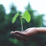 Photo by Ingenium Sustainability Initiative (@enertweets)