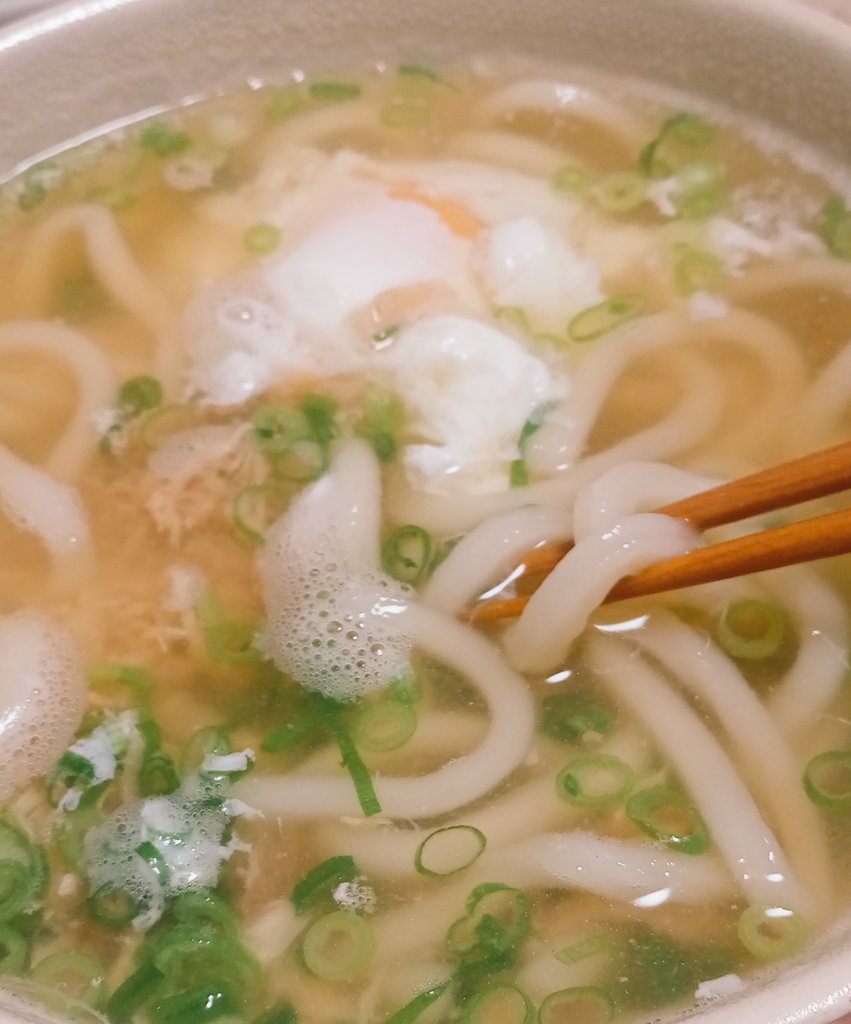 taura01's tweet photo. おやすみうどん✨ https://t.co/KEgJKoWvJL