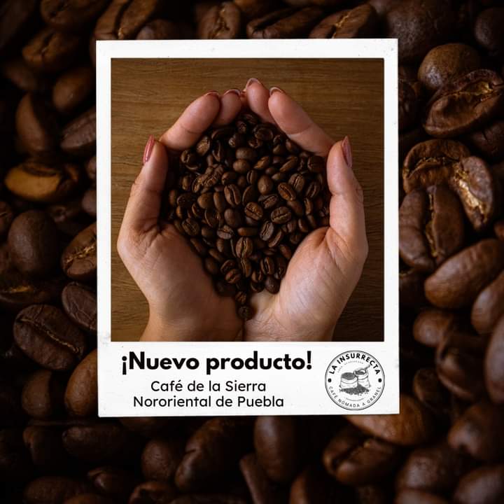 amerinolubetzky's tweet photo. El comercial: 

El café se llama La Insurrecta y nos pueden seguir en Facebook e Instagram para hacer un pedido. Cuidamos que el producto venga directo de productores y tostadores en México y buscamos democratizar su consumo manteniendo precios más bajos. Salud ☕ https://t.co/Pg6eqruVee