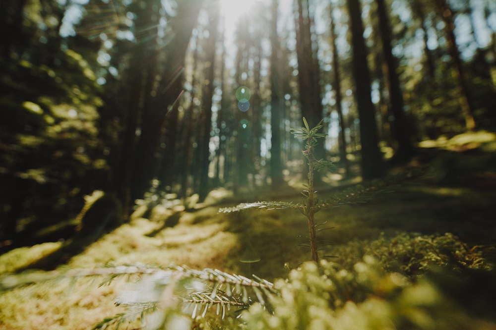 notreterritoire's tweet image. EBS LE RELAIS FRANCE lance une #enquetepublique Demande d'enregistrement pour l'exploitation d'une installation classée #Somme, sur les communes : #lEtoile, #Flixecourt Retrouvez toutes les infos et donnez votre avis : notre-territoire.com/enquete/285944