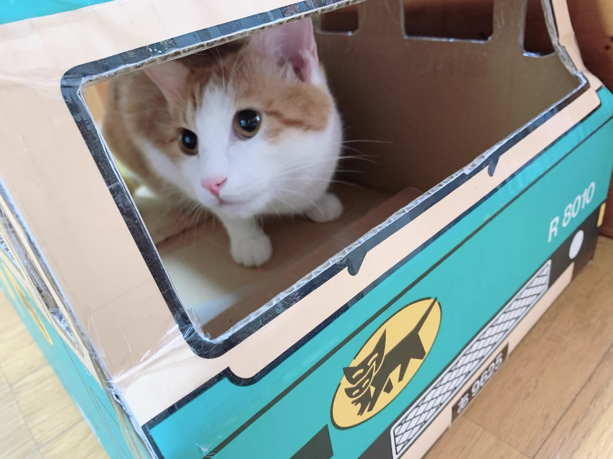 猫箱 ヤマト運輸 on X: 