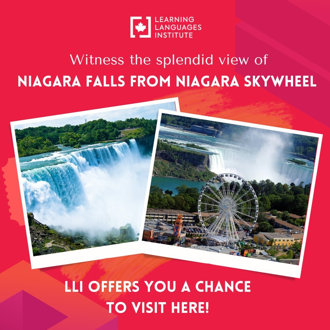 London_Language's tweet image. Want to see the #NiagaraRiver from the top? Niagara Skywheel offers a picturesque view of #NiagaraFalls and the surrounding areas. Explore this top tourist destination in #Canada with #LLI. Visit our website llinstitute.com to know more about it!