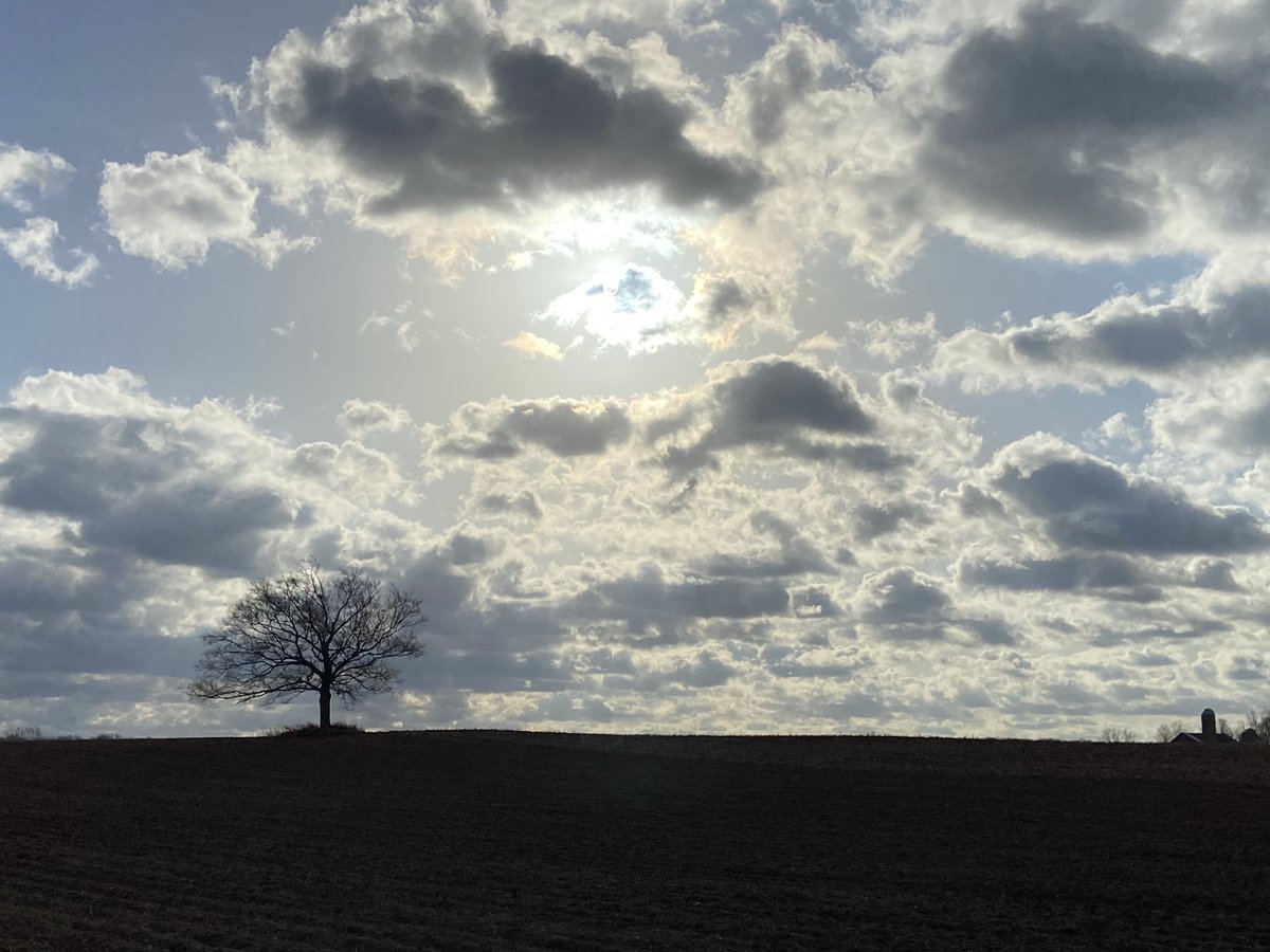carolzollinger's tweet photo. Good morning. #BeTheTree https://t.co/d1eWESWlJr