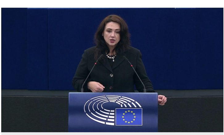 Importante réunion à la plénière du Parlement 🇪🇺 sur la situation en 🇹🇳 (au nom du HR Borrell) la Commis H. Dalli et Mre suédoise J. Roswall H. Dalli « notre partenariat avec 🇹🇳 est ancré dans valeurs partagées: Démocratie, Etat de droit, Droits humains, libertés fondamentales