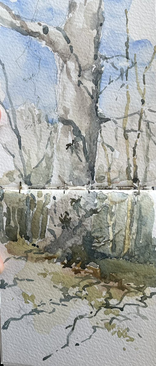 Sketch Club tweet media