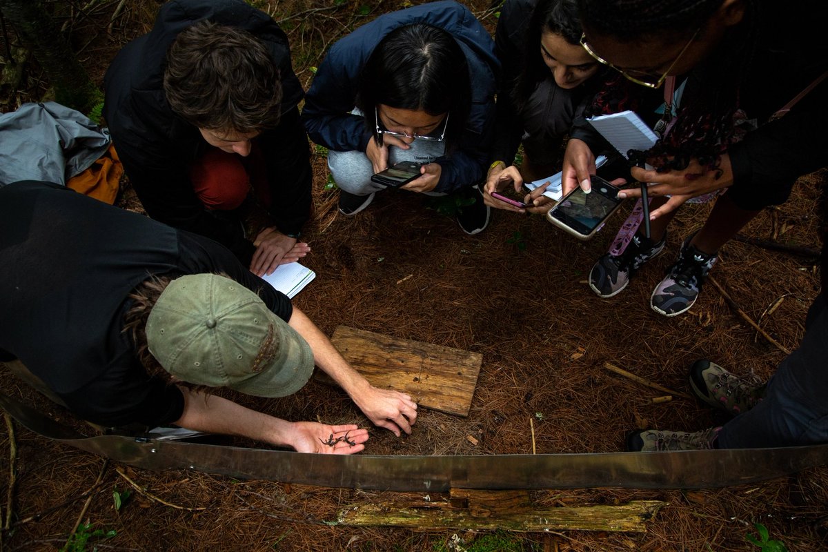 Field Research in Ecology &amp; Evolution Diversified (<a href="/FREED_fieldwork/">Field Research in Eco-Evo Diversified</a>) is a free, week-long field excursion to <a href="/algonquinwrs/">Algonquin Wildlife Research Station</a> from Aug 27-Sept 2 for 10-15 <a href="/uoft/">University of Toronto</a> undergrads who self-identify as Indigenous, Black and/or Racialized individuals.
➡️More info: freedalgonquin.wordpress.com