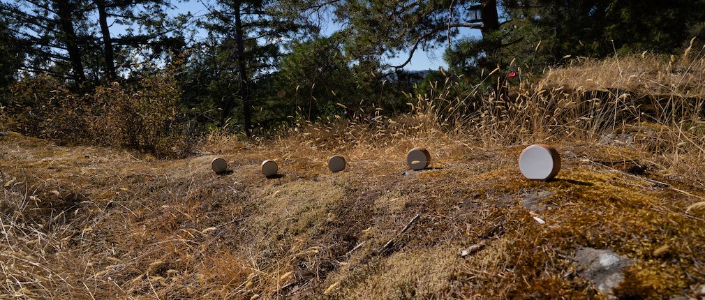 Brian Whitman tweet media