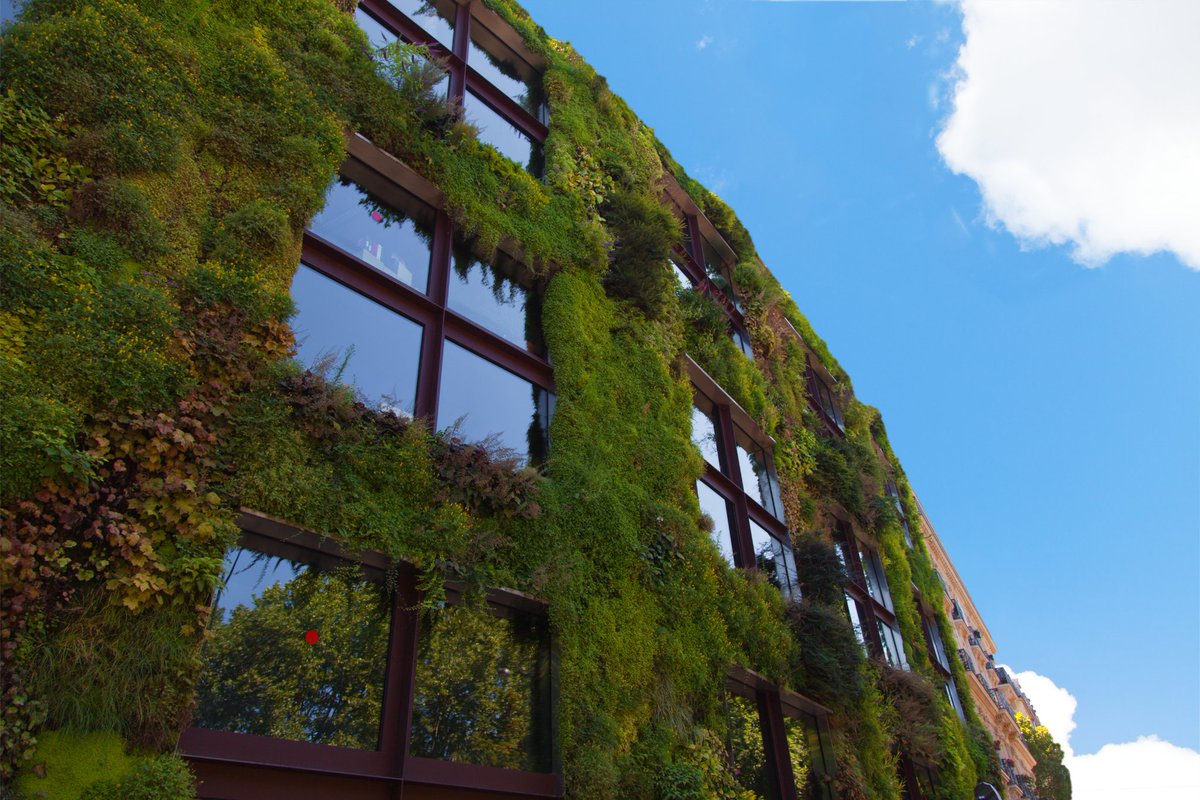 🌿 Today is #GreenWallDay! Did you know that the living wall concept was patented 75 years ago?

#LivingWalls can stay 7°c cooler than brick walls on hot days, meaning they have the potential to combat the Urban Heat Island effect and significantly reduce indoor #energy demand.