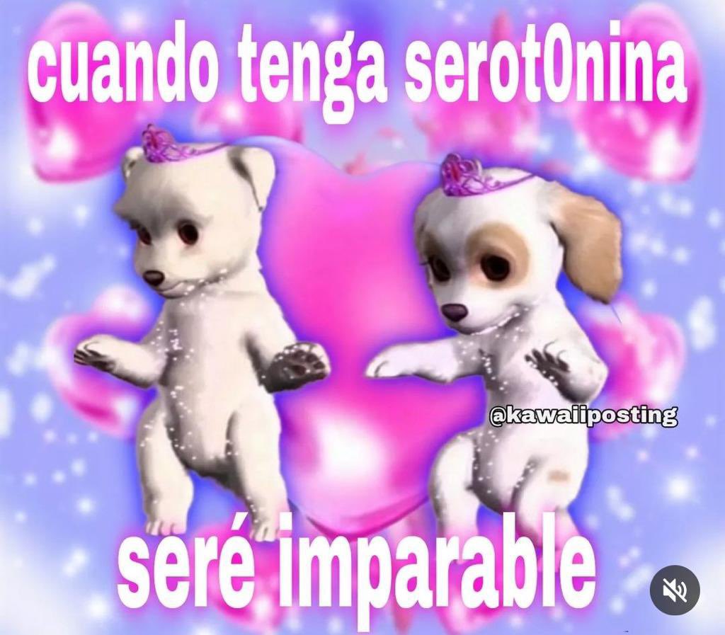 mangelrogel's tweet photo. https://t.co/5yq5KVb7HX