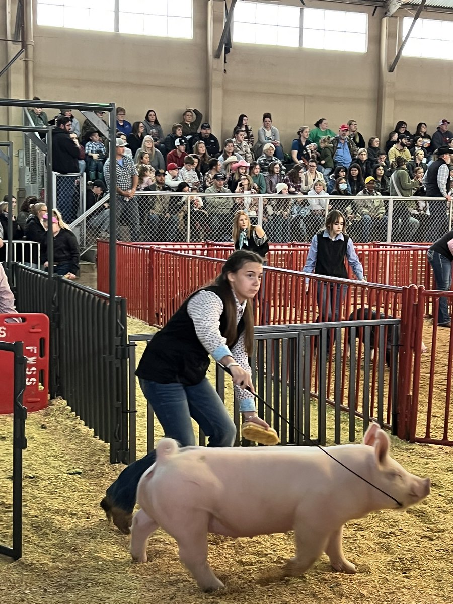 KellerISDFFA's tweet photo. ✨2023 Fort Worth Stock Show &amp; Rodeo - Swine Show✨
Congratulations to our S E V E N swine exhibitors who showed their projects at the open swine show in Fort Worth! Keller FFA always appreciates the opportunity to exhibit our projects! We our so proud of these members! https://t.co/S26hFUr2lN