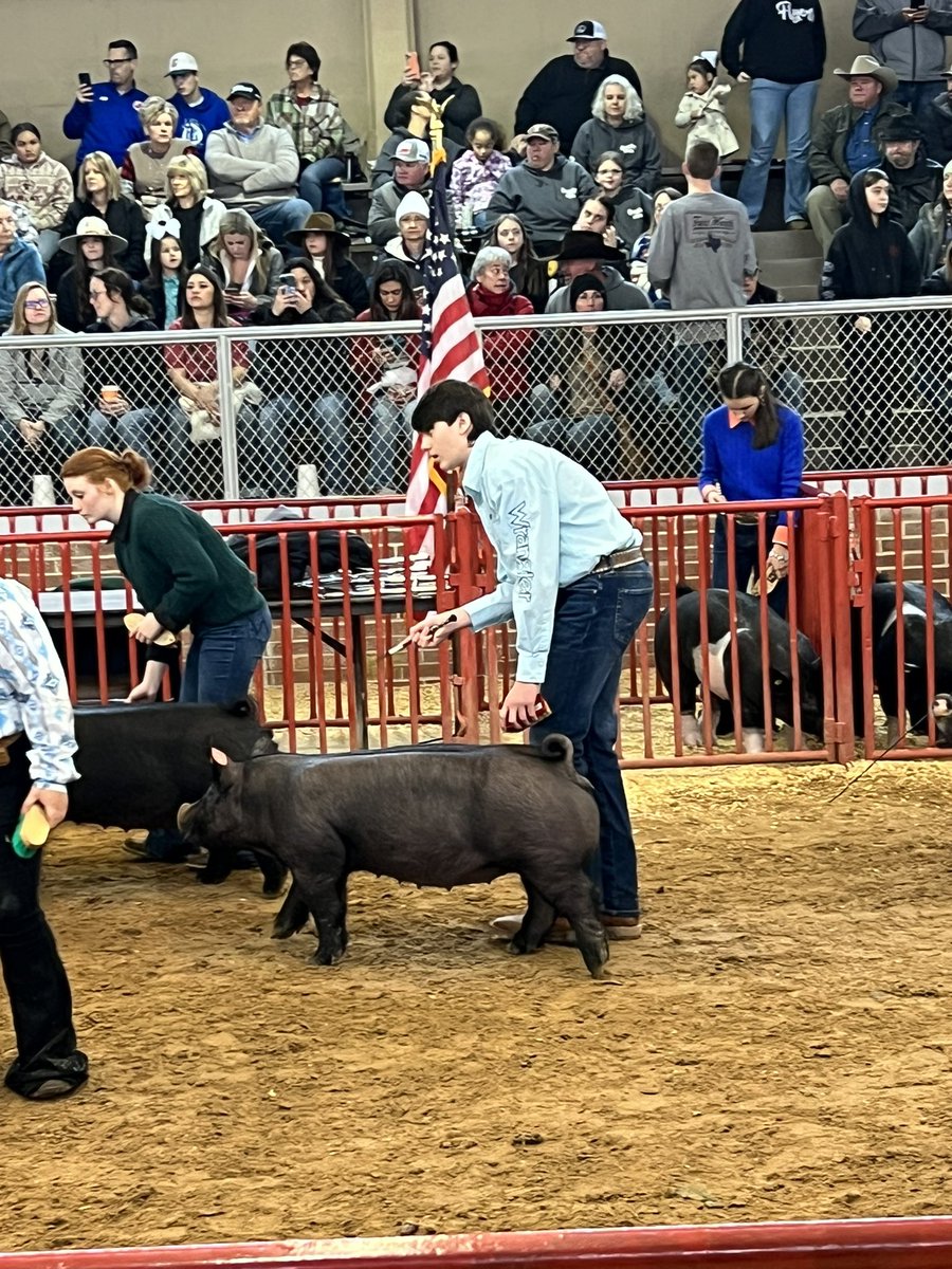 KellerISDFFA's tweet photo. ✨2023 Fort Worth Stock Show &amp; Rodeo - Swine Show✨
Congratulations to our S E V E N swine exhibitors who showed their projects at the open swine show in Fort Worth! Keller FFA always appreciates the opportunity to exhibit our projects! We our so proud of these members! https://t.co/S26hFUr2lN