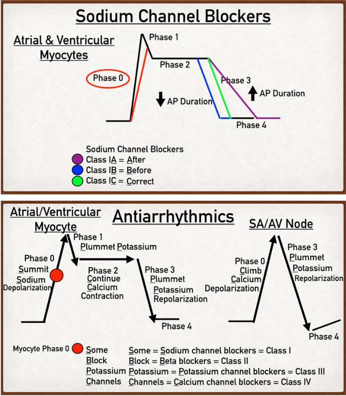 💓ANTI-ARRHYTHMICS: SHORTENED💓

Class I a-c, II, and III, and their most COMMONLY asked questions (MOA, drug name and class). 

Mnemonics in green.

BONUS:
✅HIGHEST POTENCY in CLASS I:
1C > 1A > 1B - think CAB!

#mnemoNIKS #internalmedicine