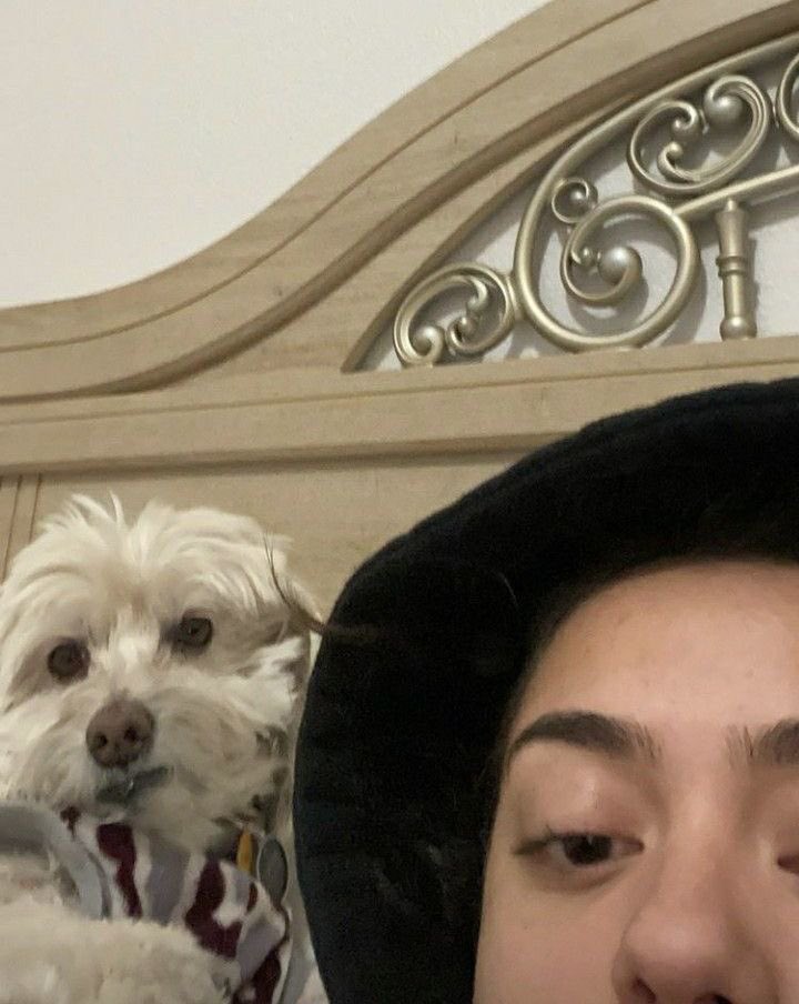 new @ who dis ( putol ba )