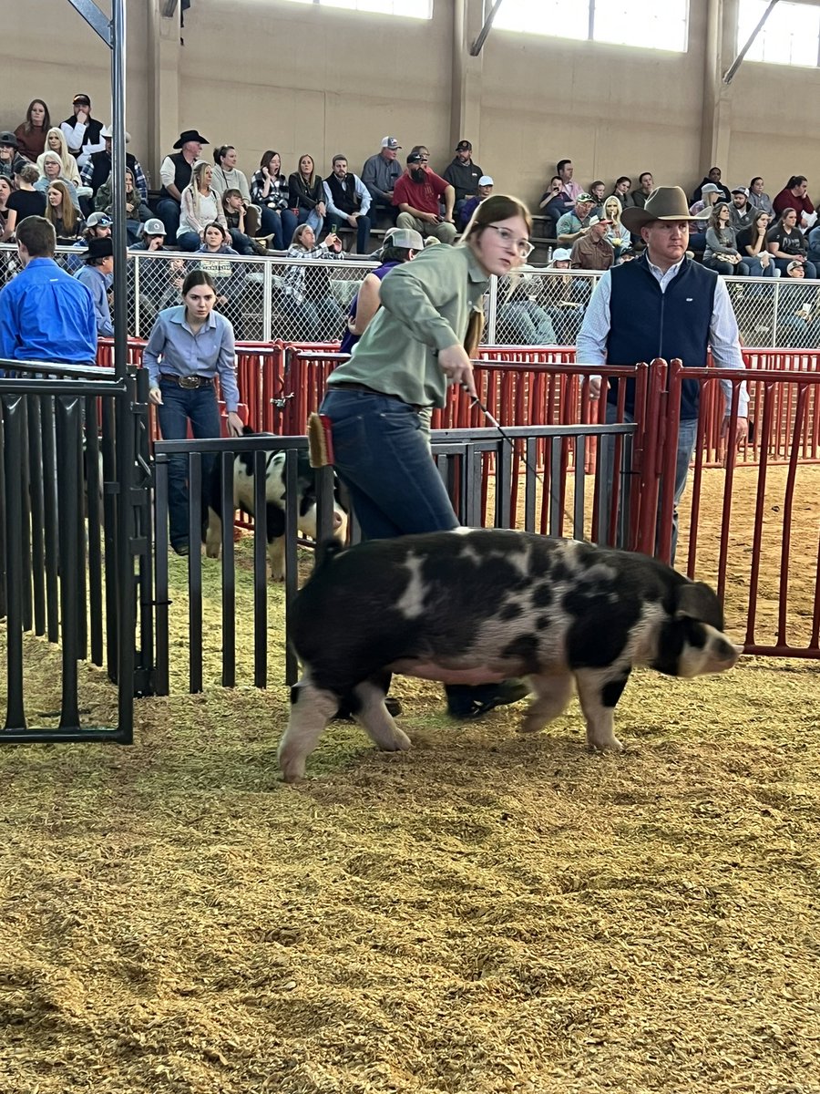 KellerISDFFA's tweet photo. Swine exhibitors 🐷 
Mallie Ingram 
Kaelyn Snodgrass 
Chase Smarr 
Emma Schee 
Natalee Shaw 
Quinn Raymond 
Cat Hayden 

#CelebrateKISD #CTEinKISD #FWSSR2023 #KellerFFA https://t.co/CjrRsQmb90