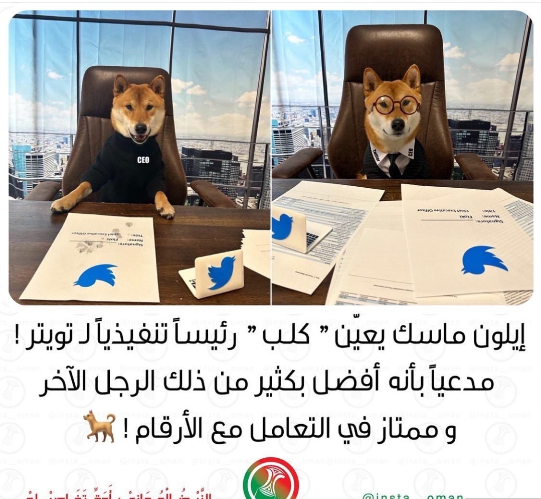 راعي فرحه 😂
