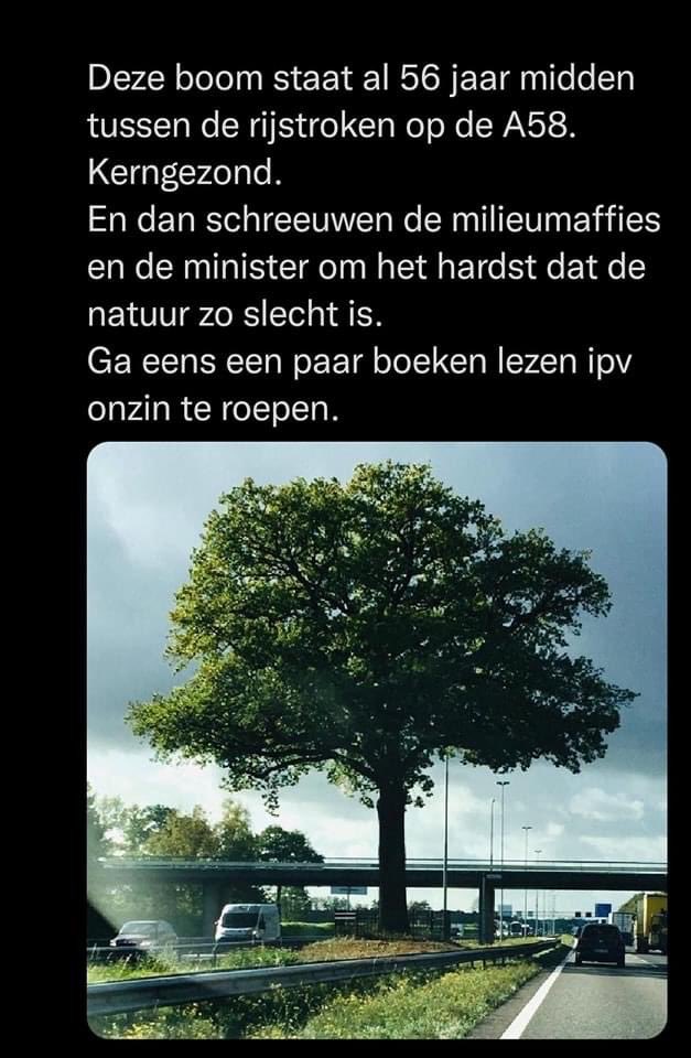 Willeke86Willem's tweet image. Prachtige boom bij Ulvenhout,al jaren in discussie en word alleen maar met de jaren mooier!  #activisten.
