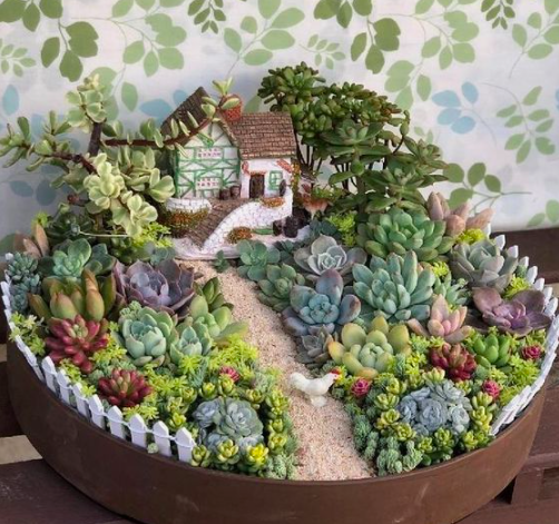 Urban Plant Home tweet media