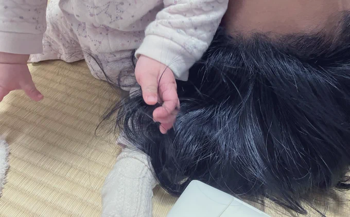 父親の毛を丹念に抜く娘 