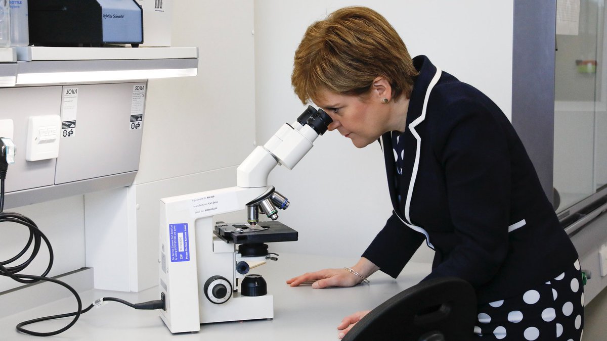 me looking for the WILL to live on this godforsaken island a single day longer