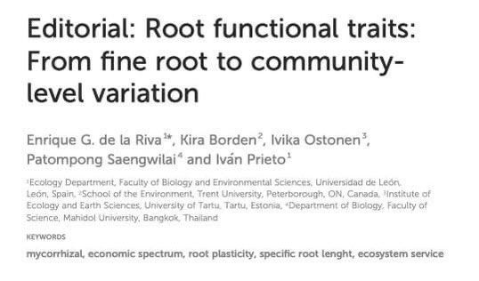 patomkhwan's tweet photo. Root lab Thailand: The Editorial article for Root Functional Traits is now available online.. You will learn a lot by just reading our editorial article https://t.co/aMiEvURjvs but you will even learn a lot more from each article..#roots #phenotyping #plants #rootlabthailand https://t.co/gqNj4yWDNh