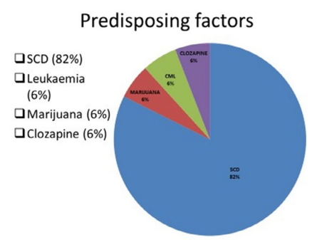 UAOJ13's tweet photo. Presentation and Surgical Management of Ischemic Priapism...
by Terkaa Atim, FWACS[ISSN 2572-4665]

📖Read the full article here:https://t.co/UZ2C77C4VU

✍For manuscript submission click here:https://t.co/P2MuNb0qcK

#openventio #urology #andrology #priapism #shunts #detumesense https://t.co/F3piY8LKxR