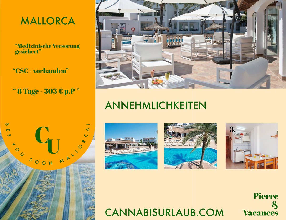 CannabisUrlaub's tweet photo. Aktuelles Highlight - Pierre & Vacances Apartamentos Mallorca
https://t.co/9f3u7IzC8h
#cannabisurlaub #cannabislegalisierung #CannabisCommunity #CannabisNews #CannabisHilftMir #Weedmob #WeedLovers #weedsmokers #Mallorca #MallorcaLiebeReihe #csc #palma #stativa #indica #Urlaub https://t.co/bOuvr7pqn8