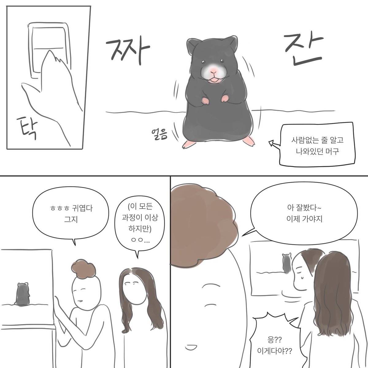 이거 너무 공감돼요… 햄스터 얼굴 보려면 어둠속에서 부스럭 소리듣고 뛰어가야함
