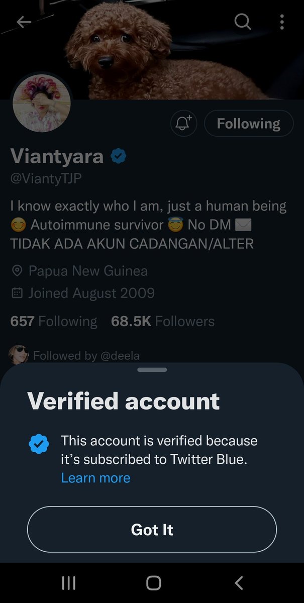 SulingKayu's tweet photo. Segitu KEPENGENNYA punya Centang Biru sampai mau aja BERBAYAR.

Centang Biru BERBAYAR itu bahan JOKE aja, follower 2 JUTA aja bisa dapet kog bhuehuehue

@kurawa @ViantyTJP 🤣🤣🤣🤣🤣🤣🤣🤣🤣🤣🤣🤣🤣🤣🤣🤣🤣🤣🤣🤣🤣🤣🤣🤣🤣🤣🤣🤣 https://t.co/DFyIJQzWaD