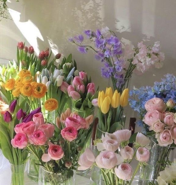 300moods's tweet photo. photos that you can smell https://t.co/4zDmU8ahCR
