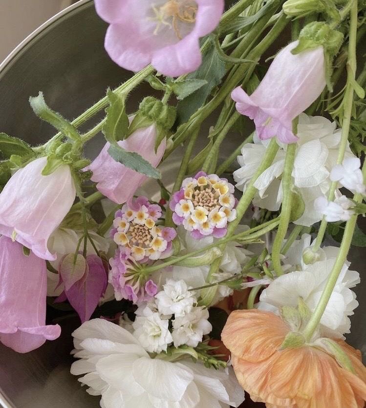 300moods's tweet photo. photos that you can smell https://t.co/4zDmU8ahCR