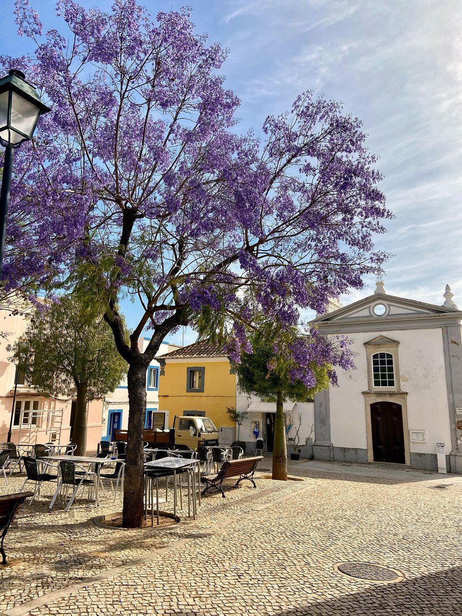 Looking forward to spring arriving in the sleepy town #Moncarapacho in the East #Algarve 🌿🇵🇹🇵🇹
#Portugal #Portuguesa #portuguese #BestofPortugal 

Have a good day all🌻🐝 #wednesdaythought #wednesday #travelphotography #traveltribe